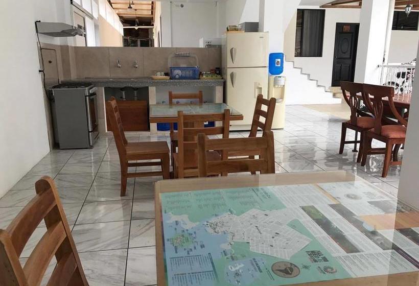 Albergue Hostal La Mirada Del Solitario George Galápagos