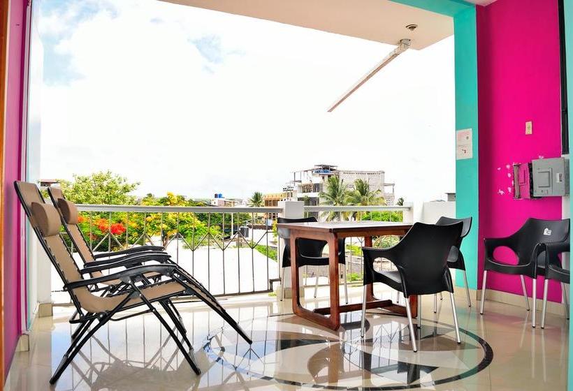 Albergue Hostal Sir Francis Drake | Puerto Ayora | Galápagos | Ecuador 8