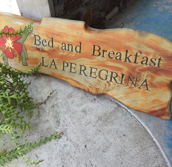 Bed & Breakfast La Peregrina | Puerto Ayora | Galápagos | Ecuador 2