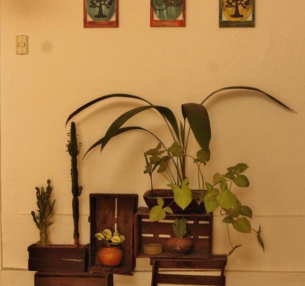 Mochilier S Hostel & Café | Cuenca | Azuay | Ecuador 6