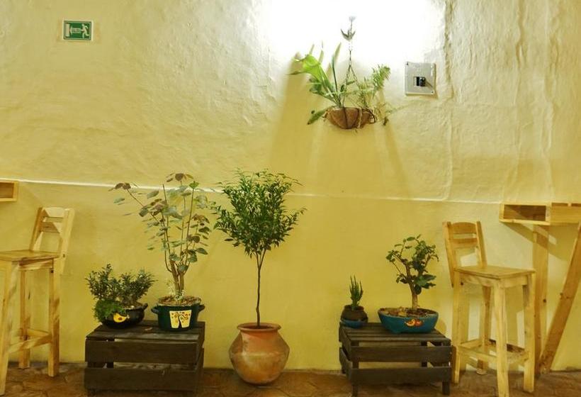 Mochilier S Hostel & Café | Cuenca | Azuay | Ecuador 8