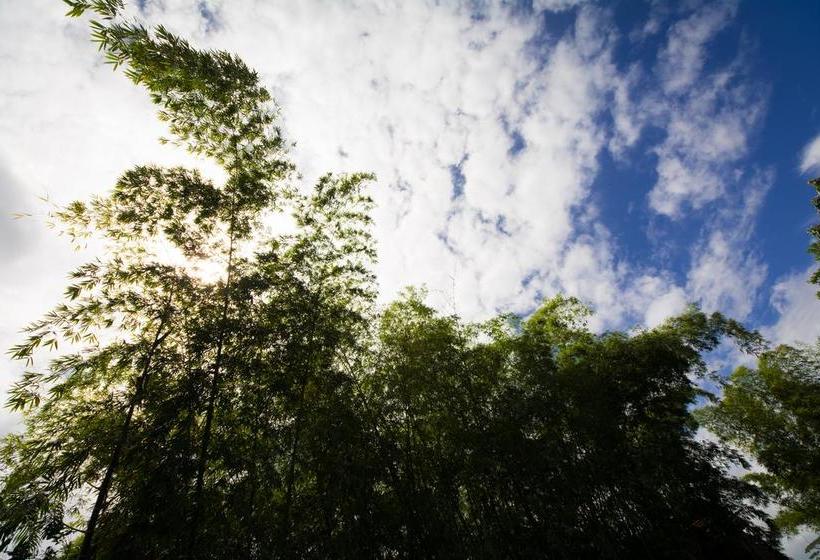 Hotel San Patricio | Puyo | Pastaza | Ecuador 14