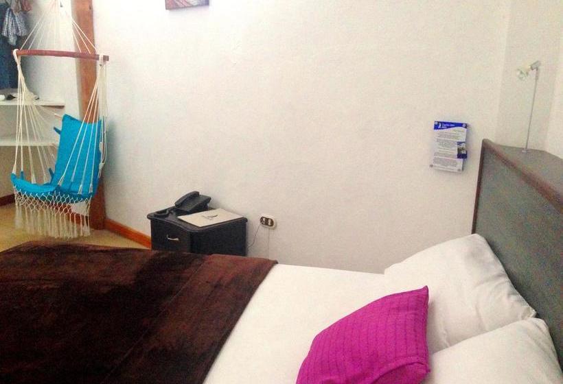 Capitan Max B&b | Puerto Ayora | Galápagos | Ecuador 7