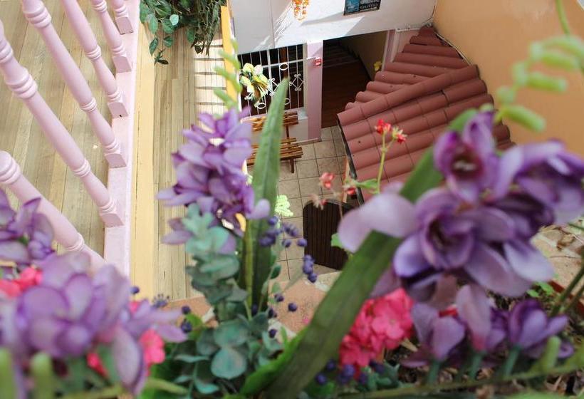 Hotel Yumbo Imperial | Quito | Pichincha | Ecuador 10