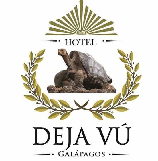 Hotel Dejavu | Puerto Ayora | Galápagos | Ecuador 13