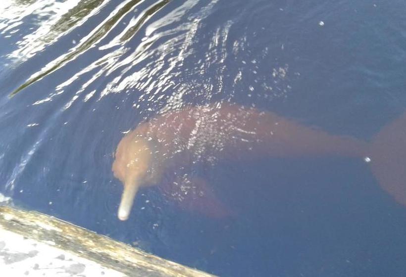 Bed and Breakfast Hostal Limoncocha | Tena | Napo | Ecuador 2