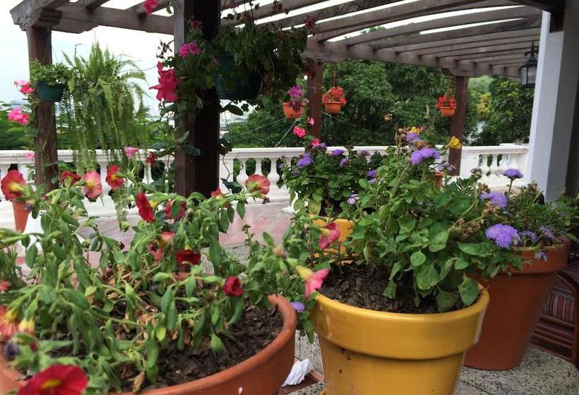 Bed and Breakfast Nazu House | Guayaquil | Guayas | Ecuador 18