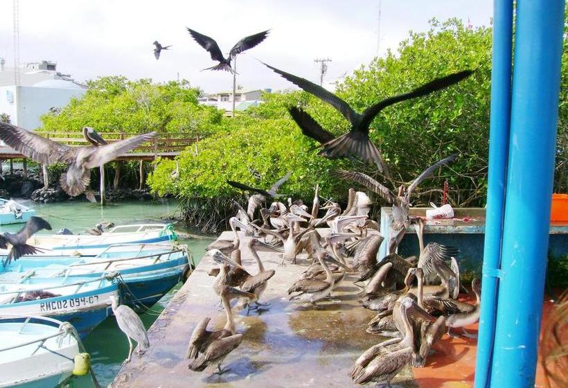Hotel Pelican Bay | Puerto Ayora | Galápagos | Ecuador 2
