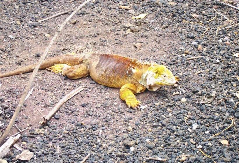 Hotel Pelican Bay | Puerto Ayora | Galápagos | Ecuador 4