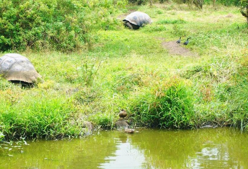 Hotel Pelican Bay | Puerto Ayora | Galápagos | Ecuador 6