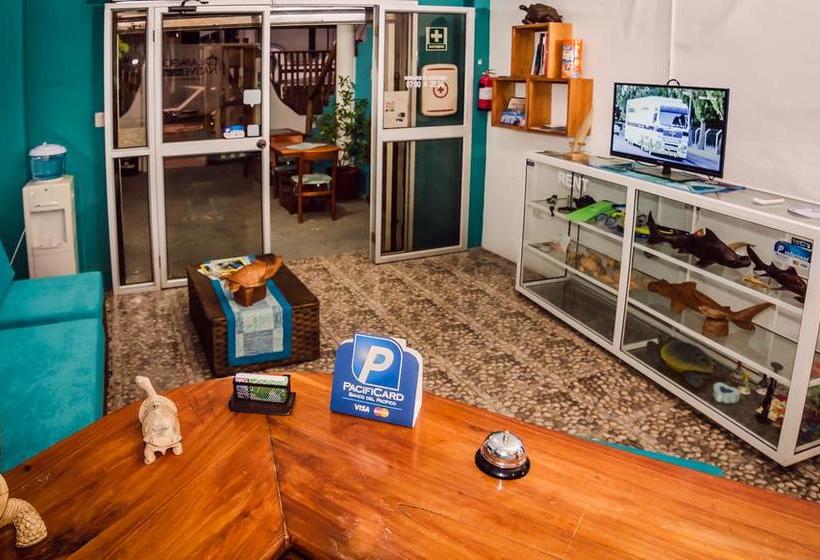 Albergue Galapagos Native | Puerto Ayora | Galápagos | Ecuador 3