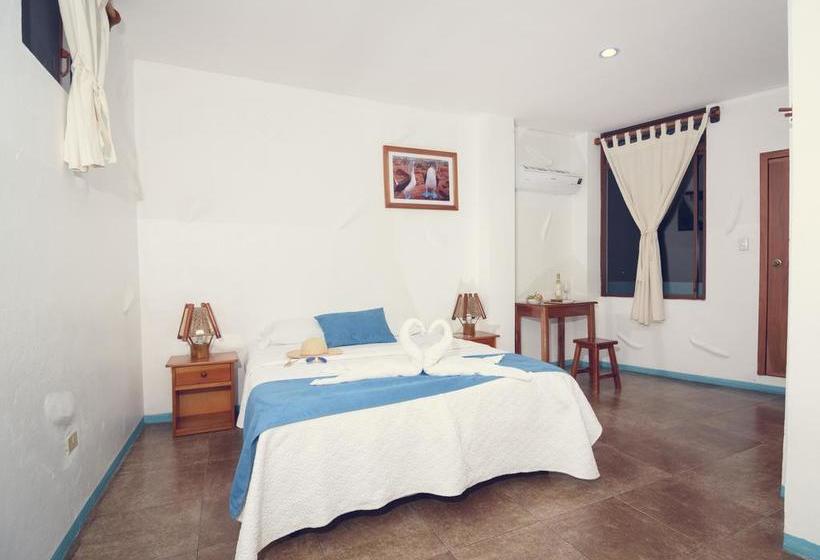 Albergue Galapagos Native | Puerto Ayora | Galápagos | Ecuador 5