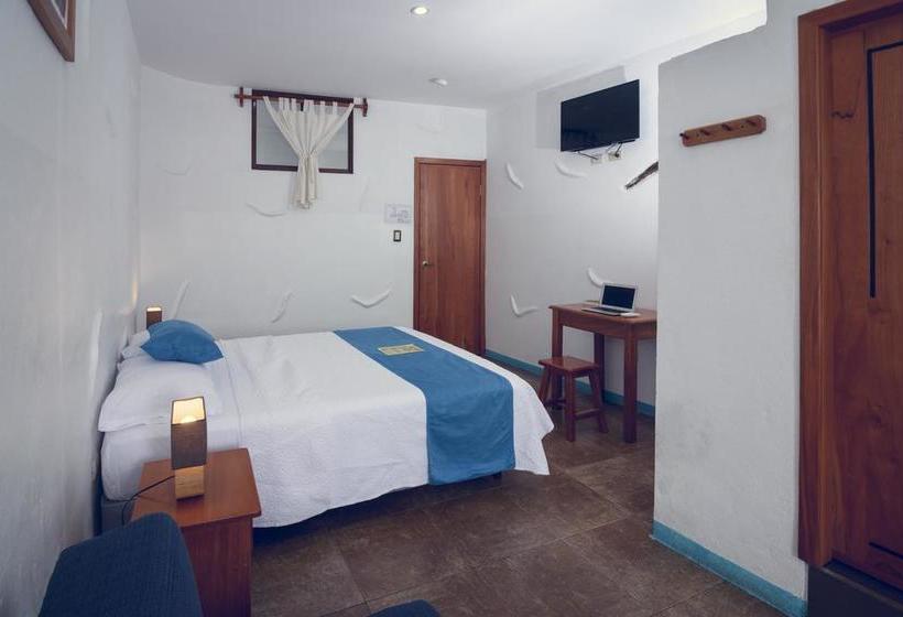 Albergue Galapagos Native | Puerto Ayora | Galápagos | Ecuador 7