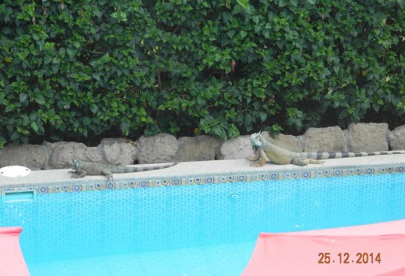 Albergue Swisspoint | Montañita | Santa Elena | Ecuador 2