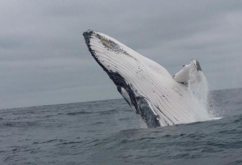 Hotel Agua Blanca | Puerto López | Manabí | Ecuador 7