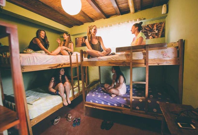 Albergue Hostal Montezuma | Montañita | Santa Elena | Ecuador 16