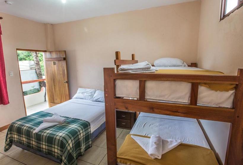 Hotel Galapagos Dreams | Puerto Ayora | Galápagos | Ecuador 15