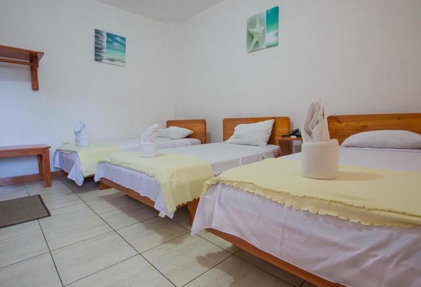 Hotel Galapagos Dreams | Puerto Ayora | Galápagos | Ecuador 16