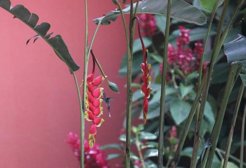 Albergue Hostal Tena ñaui | Tena | Napo | Ecuador 15