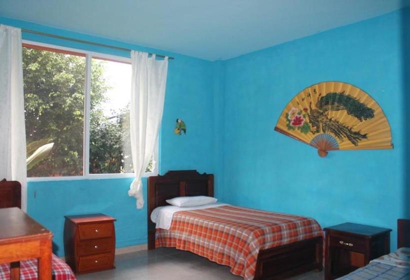 Albergue Hostal Tena ñaui | Tena | Napo | Ecuador 2