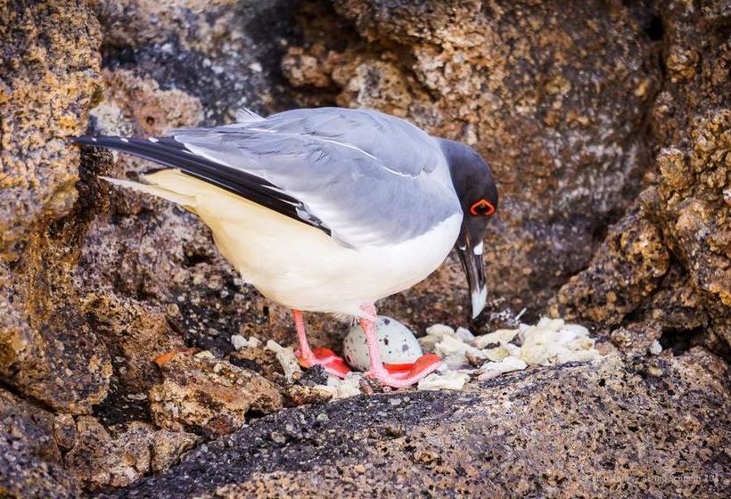 Hotel Verde Azul | Puerto Ayora | Galápagos | Ecuador 18