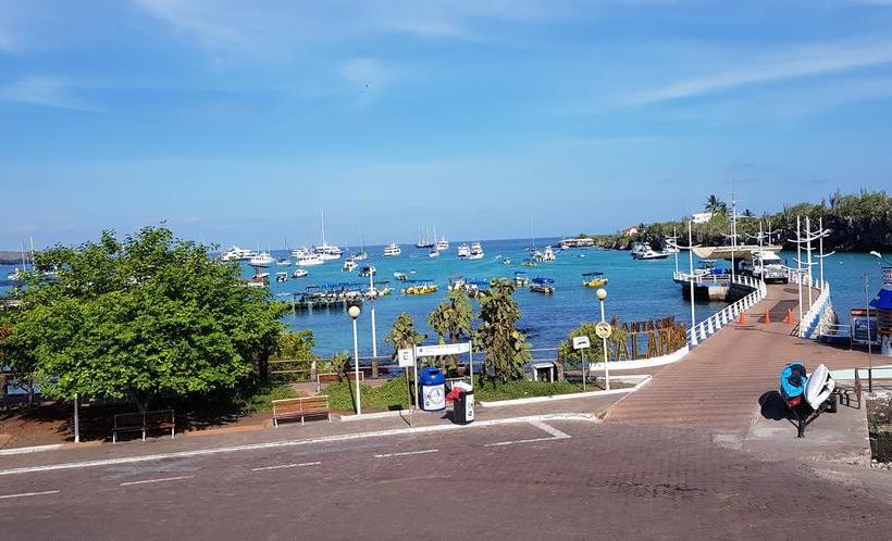 Hotel Verde Azul | Puerto Ayora | Galápagos | Ecuador 4