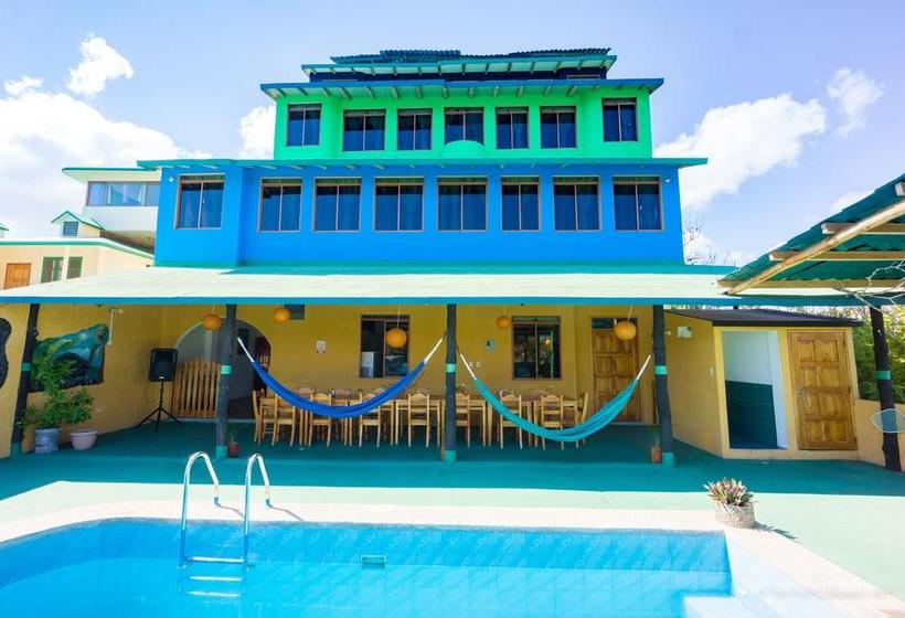 Hotel Verde Azul | Puerto Ayora | Galápagos | Ecuador 5