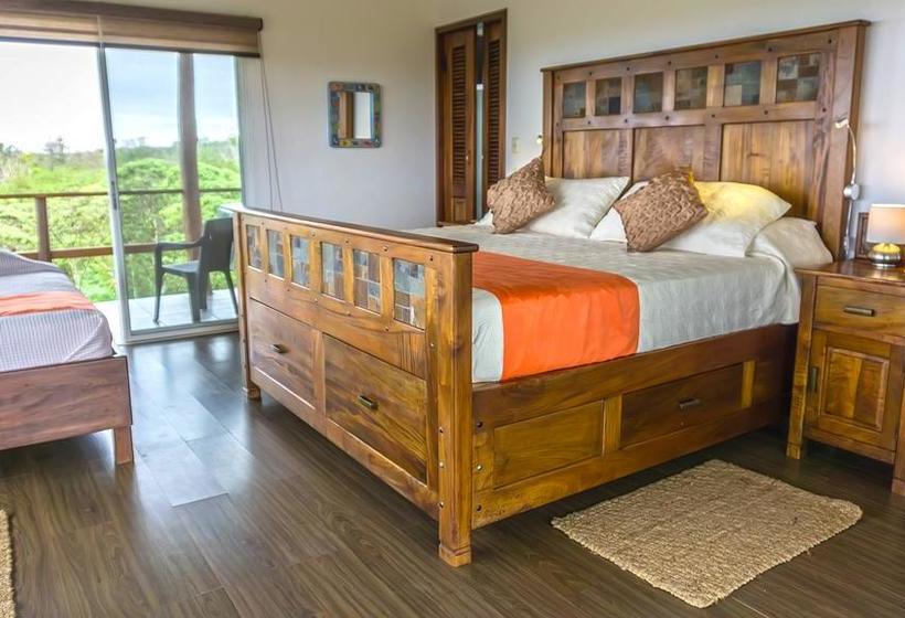 Hotel Semilla Verde Boutique | Puerto Ayora | Galápagos | Ecuador 11