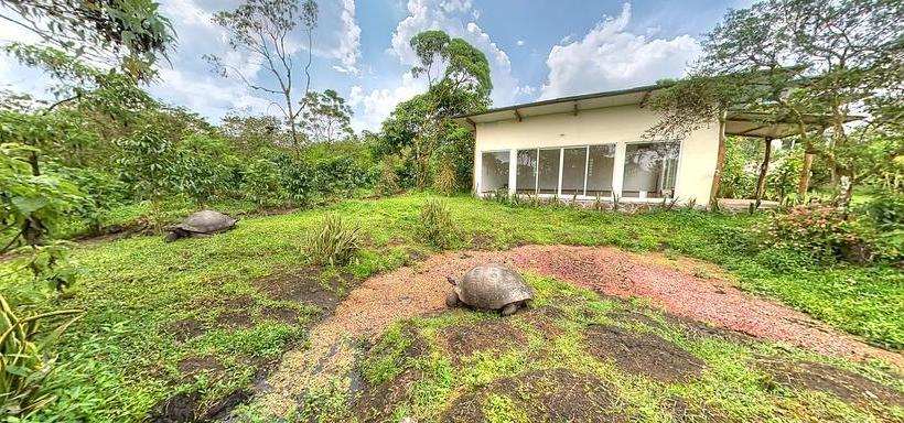 Hotel Semilla Verde Boutique | Puerto Ayora | Galápagos | Ecuador 9