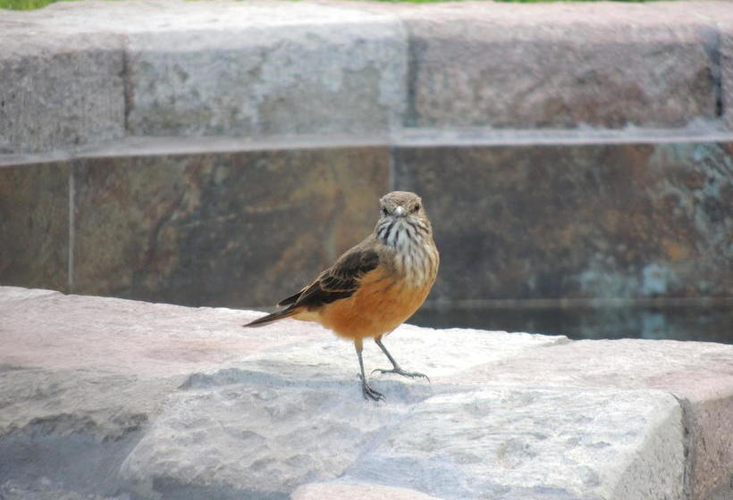 Hotel Hosteria Cananvalle | Ibarra | Imbabura | Ecuador 13