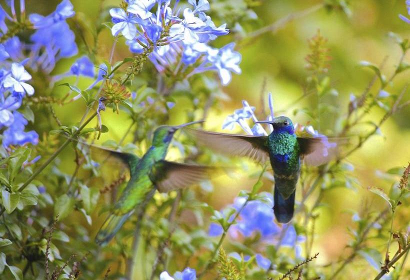 Hotel Hosteria Cananvalle | Ibarra | Imbabura | Ecuador 4