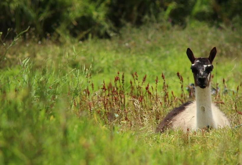 Hotel Hosteria Cananvalle | Ibarra | Imbabura | Ecuador 7
