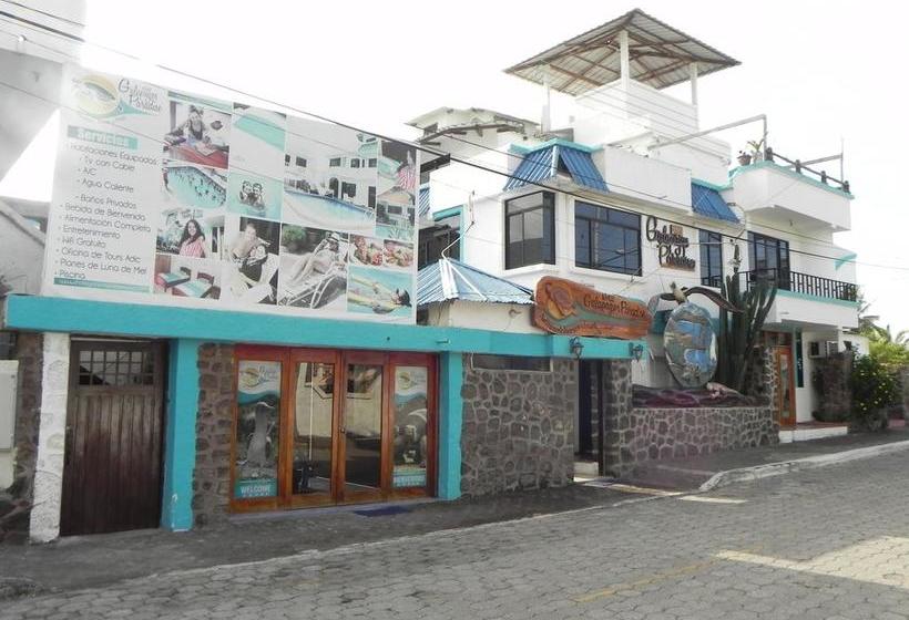 Hotel Galapagos Paradise | Puerto Ayora | Galápagos | Ecuador 10