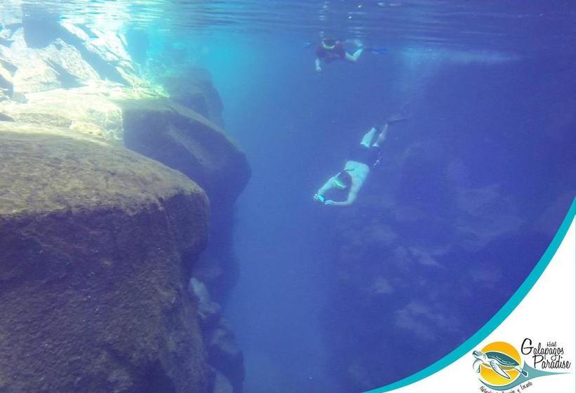 Hotel Galapagos Paradise | Puerto Ayora | Galápagos | Ecuador 5