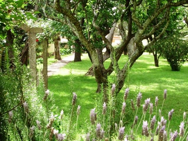 Ocean Hotel | Piriapolis | Maldonado | Uruguay 14