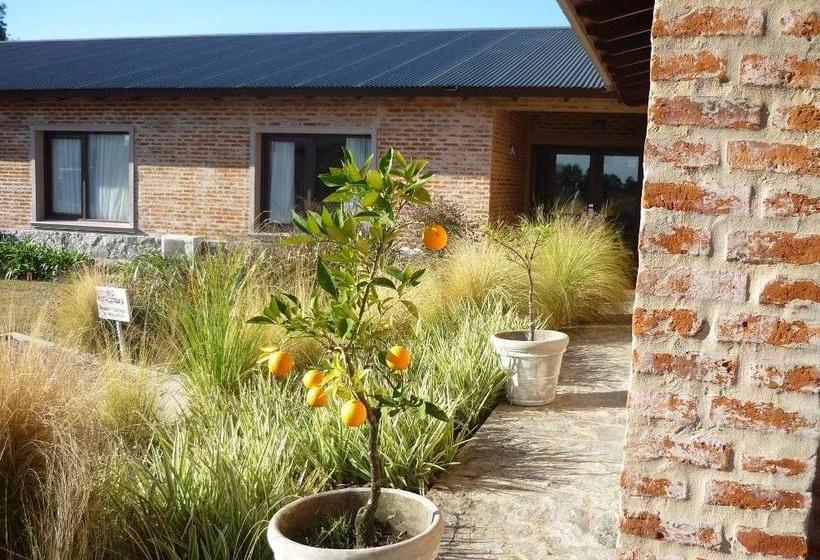 Hotel Carmelo Playa Seré | Carmelo | Colonia | Uruguay 9