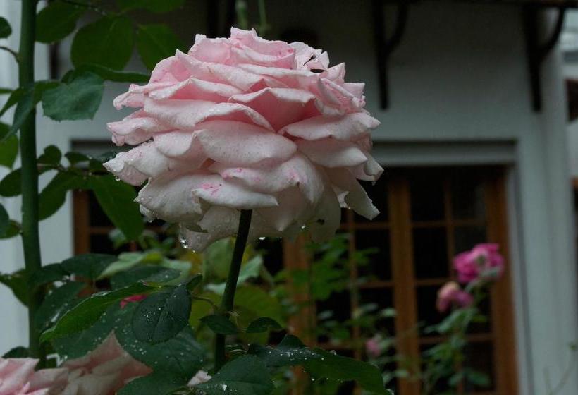 Art Hotel Deco | Salto | Salto | Uruguay 13