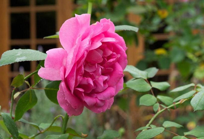 Art Hotel Deco | Salto | Salto | Uruguay 6