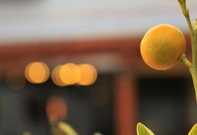 Hotel Primera Hacienda | La Serena | Coquimbo | Chile 15