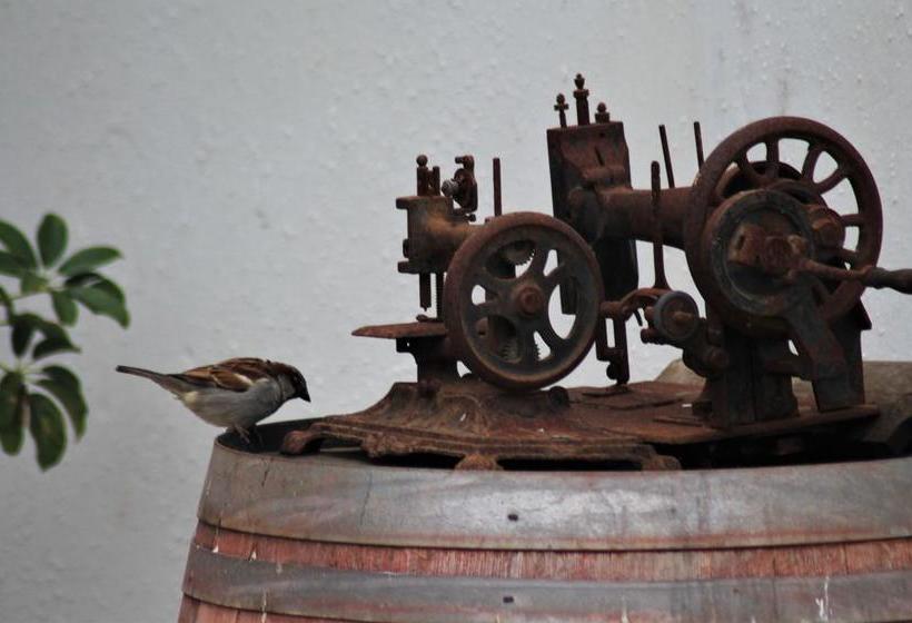 Hotel Primera Hacienda | La Serena | Coquimbo | Chile 8