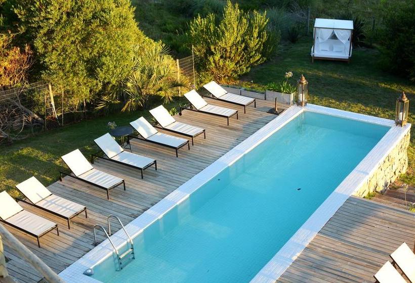 Hotel Casa Bikini | Punta del Este | Maldonado | Uruguay 3