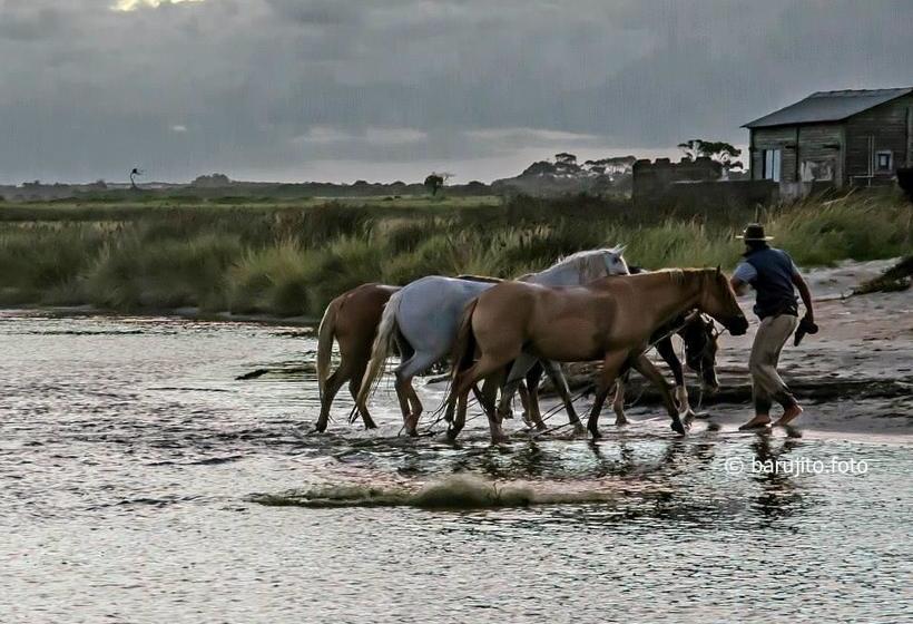 Albergue Casa De La Luna | La Pedrera | Rocha | Uruguay 10