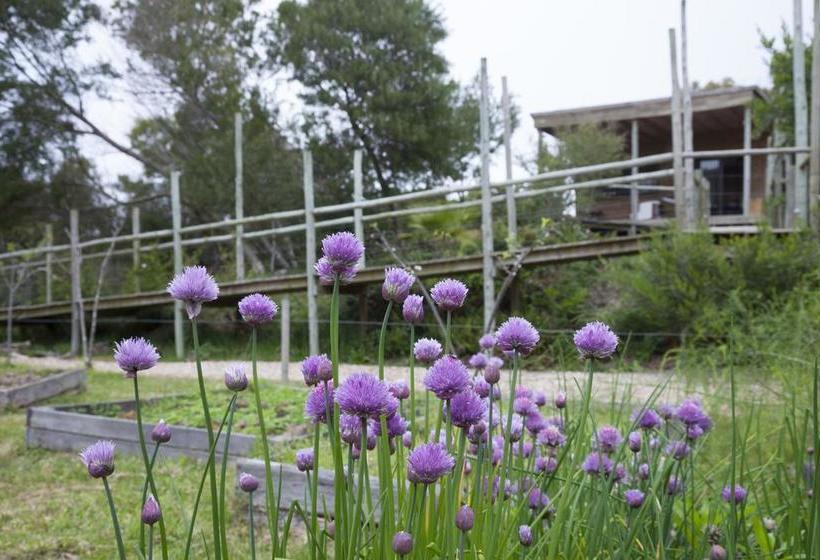 Hotel Pueblo Barrancas | La Pedrera | Rocha | Uruguay 14