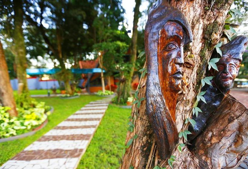 Del Sur Hotelmuseo | Encarnacion | Paraguay | América del Sur 10