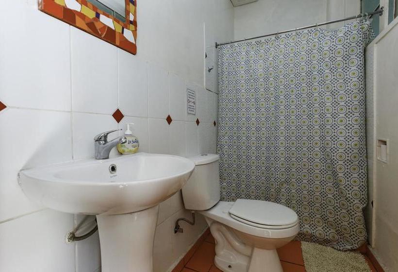 Albergue Hostal Casa Verde Limón | Valparaíso | Valparaiso | Chile 11