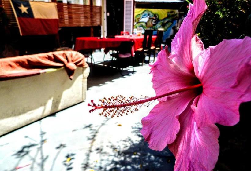 Hostal De Visita | Valparaíso | Valparaiso | Chile 17