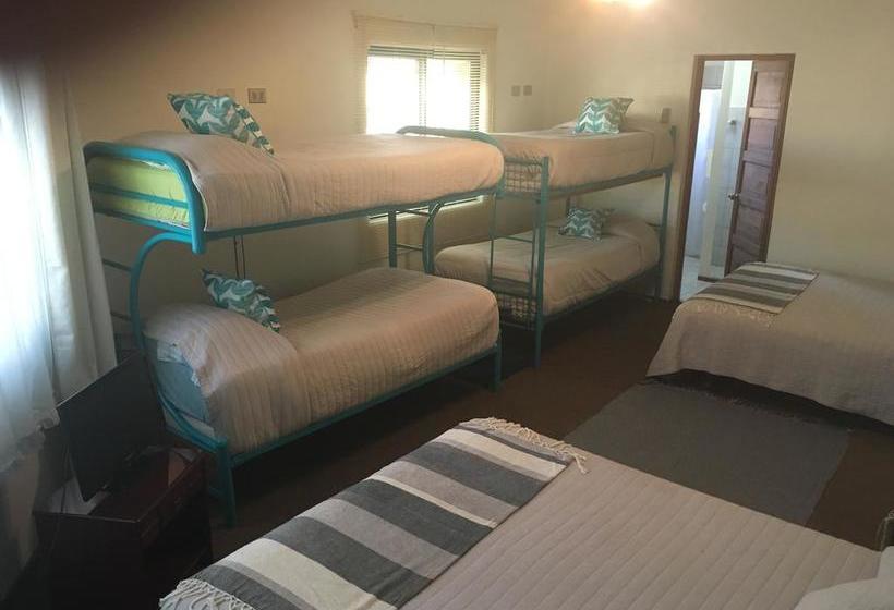 Hotel De La Avenida | Chillan | Bio-Bio | Chile 17