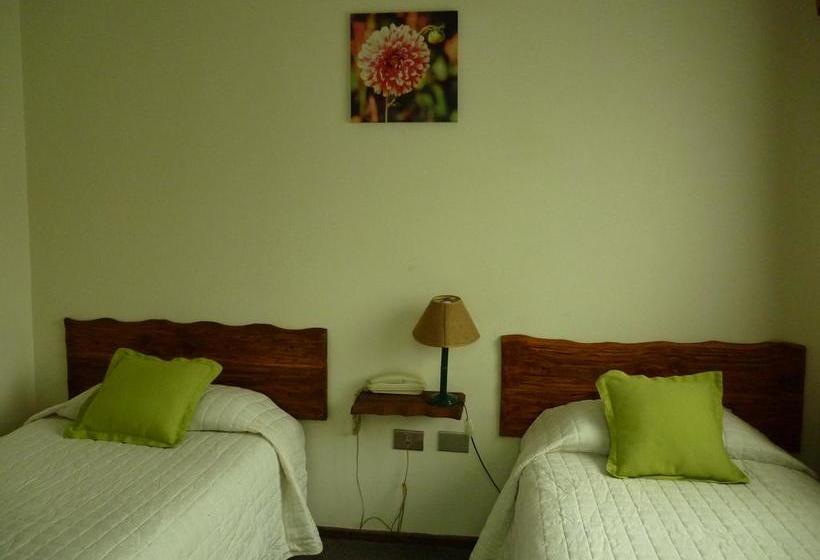 Hotel De La Avenida | Chillan | Bio-Bio | Chile 9