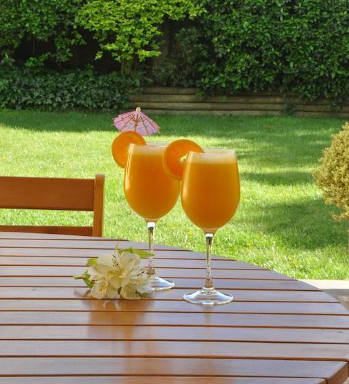 Hotel Paso Nevado | Chillan | Bio-Bio | Chile 7