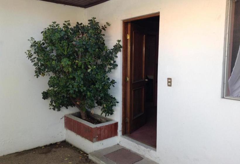 Hotel Alicante | Chillan | Bio-Bio | Chile 17